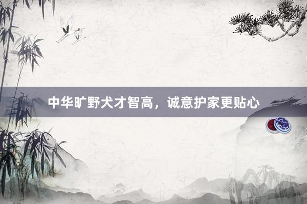 中华旷野犬才智高，诚意护家更贴心