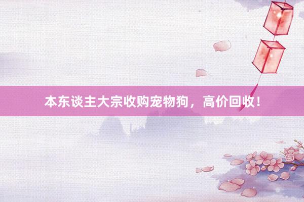 本东谈主大宗收购宠物狗，高价回收！