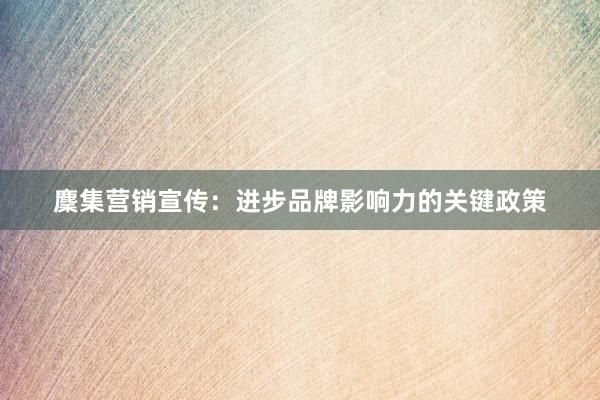 麇集营销宣传：进步品牌影响力的关键政策